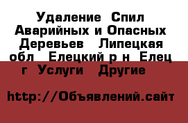 Удаление, Спил Аварийных и Опасных Деревьев - Липецкая обл., Елецкий р-н, Елец г. Услуги » Другие   